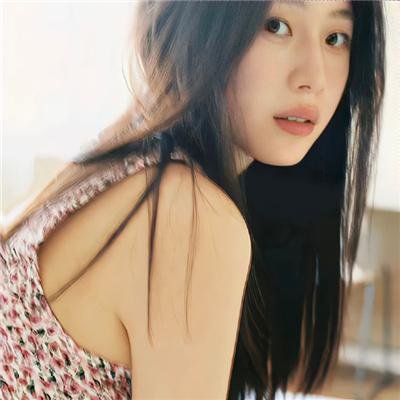 鸽之翼