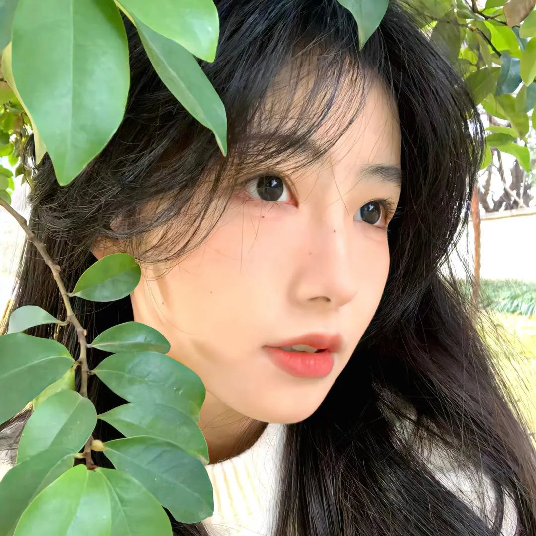 桃花映江山